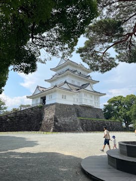 小田原城に投稿された画像（2025/7/1）