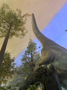 福井県立恐竜博物館に投稿された画像（2025/7/1）