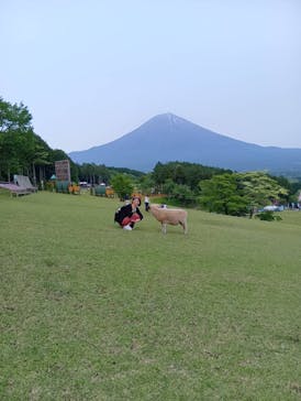 まかいの牧場に投稿された画像（2025/7/1）