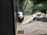 恩賜上野動物園に投稿された画像（2025/7/1）