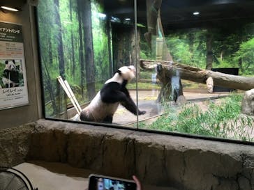 恩賜上野動物園に投稿された画像（2025/7/1）