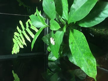 恩賜上野動物園に投稿された画像（2025/7/1）