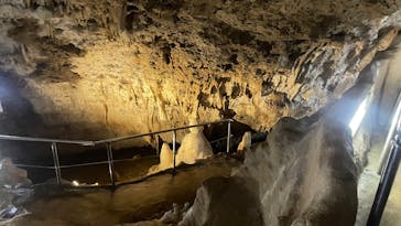 石垣島鍾乳洞に投稿された画像（2025/7/1）