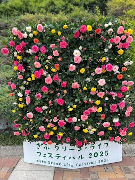ぎふワールド・ローズガーデンに投稿された画像（2025/7/1）