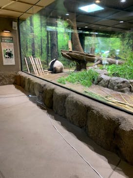 恩賜上野動物園に投稿された画像（2025/7/1）