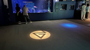 サンシャイン水族館に投稿された画像（2025/7/1）