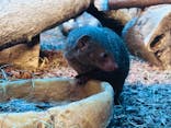 恩賜上野動物園に投稿された画像（2025/7/1）
