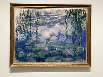 モネ 睡蓮のとき（豊田会場）に投稿された画像（2025/7/1）