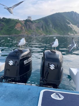 龍宮クルーズに投稿された画像（2025/7/1）