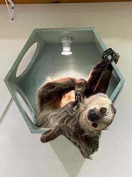 アニタッチ 東京ドームシティに投稿された画像（2025/7/1）