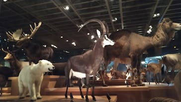 国立科学博物館に投稿された画像（2025/7/1）