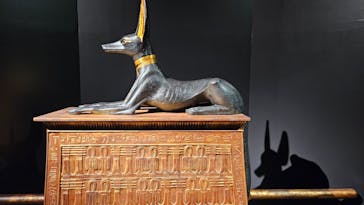 MYSTERY OF TUTANKHAMEN 体感型古代エジプト展に投稿された画像（2025/7/1）
