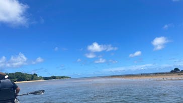 ひかりオーシャンズに投稿された画像（2025/7/1）