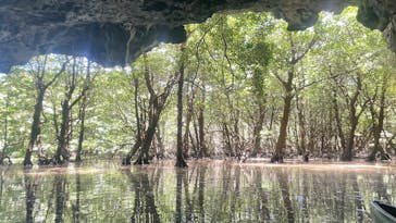 ひかりオーシャンズに投稿された画像（2025/7/1）