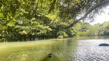 ひかりオーシャンズに投稿された画像（2025/7/1）