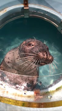 下田海中水族館に投稿された画像（2025/7/1）