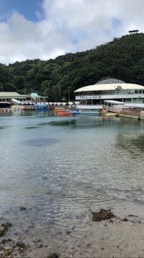 下田海中水族館に投稿された画像（2025/7/1）