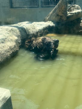 東武動物公園に投稿された画像（2025/7/1）