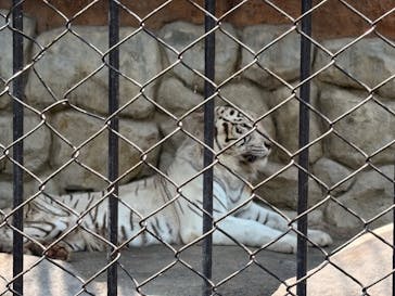 東武動物公園に投稿された画像（2025/7/1）