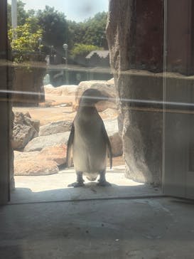 東武動物公園に投稿された画像（2025/7/1）