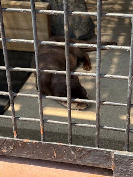 東武動物公園に投稿された画像（2025/7/1）