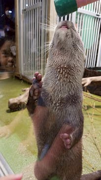 竹島水族館に投稿された画像（2025/7/2）