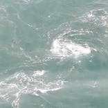 徳島県立 渦の道に投稿された画像（2025/7/2）