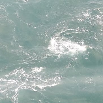 徳島県立 渦の道に投稿された画像（2025/7/2）