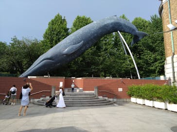 国立科学博物館に投稿された画像（2025/7/2）