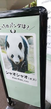 恩賜上野動物園に投稿された画像（2025/7/2）