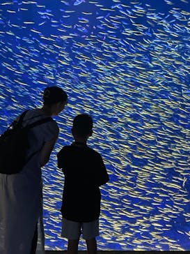 大分マリーンパレス水族館 「うみたまご」に投稿された画像（2025/7/2）