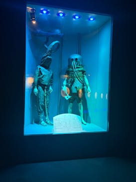 名古屋港水族館に投稿された画像（2025/7/2）