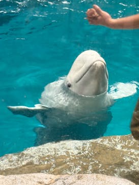 名古屋港水族館に投稿された画像（2025/7/2）