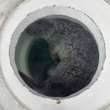 しながわ水族館に投稿された画像（2025/7/2）