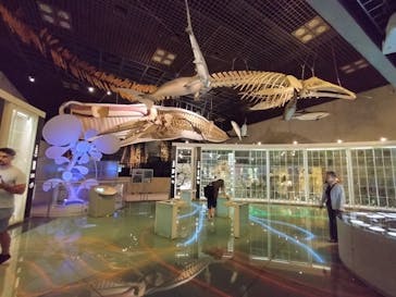 国立科学博物館に投稿された画像（2025/7/2）