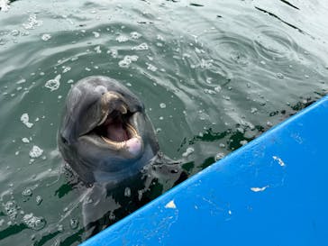 下田海中水族館に投稿された画像（2025/7/2）