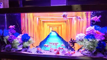 UWS AQUARIUM GA☆KYOに投稿された画像（2025/7/2）