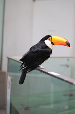 NIFREL（ニフレル）に投稿された画像（2025/7/2）