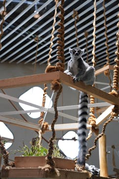 NIFREL（ニフレル）に投稿された画像（2025/7/2）