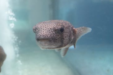 NIFREL（ニフレル）に投稿された画像（2025/7/2）