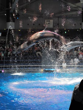 マクセル アクアパーク品川に投稿された画像（2025/7/2）