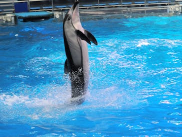 マクセル アクアパーク品川に投稿された画像（2025/7/2）