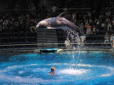 マクセル アクアパーク品川に投稿された画像（2025/7/2）