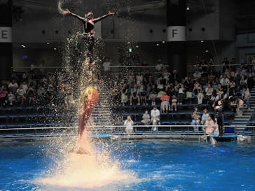 マクセル アクアパーク品川に投稿された画像（2025/7/2）