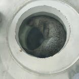 しながわ水族館に投稿された画像（2025/7/2）