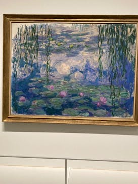モネ 睡蓮のとき（豊田会場）に投稿された画像（2025/7/2）
