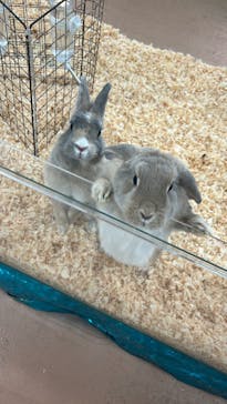 いきもの探検隊上尾に投稿された画像（2025/7/2）