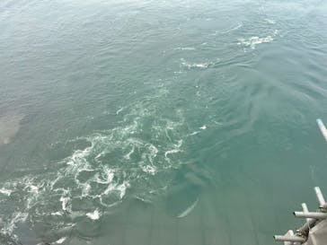 徳島県立 渦の道に投稿された画像（2025/7/2）