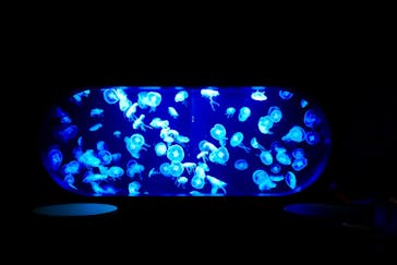 AOAO SAPPOROに投稿された画像（2025/7/2）