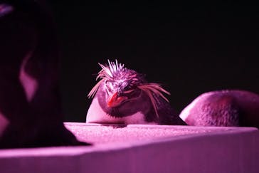 AOAO SAPPOROに投稿された画像（2025/7/2）